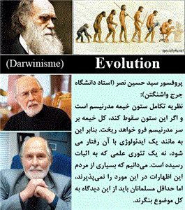 نقدی بر مقاله «هفت انتقاد بیاساس به نظریه تکامل» ʂ) «نظریه تکامل و اثبات خدا»